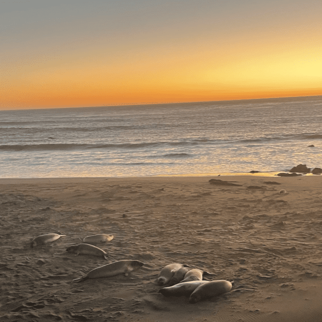 Big Sur - California en Motorhome