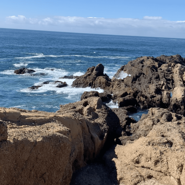Point Lobos - California en Motorhome