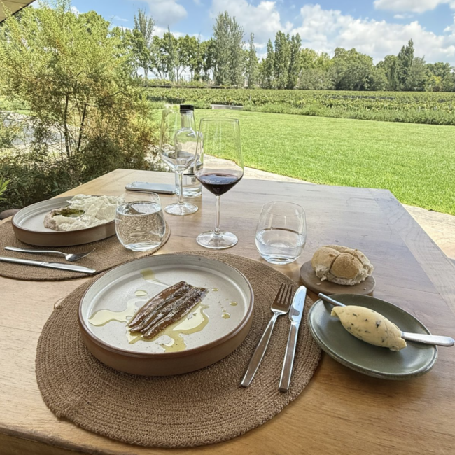 Bodega Casarena en Motorhome